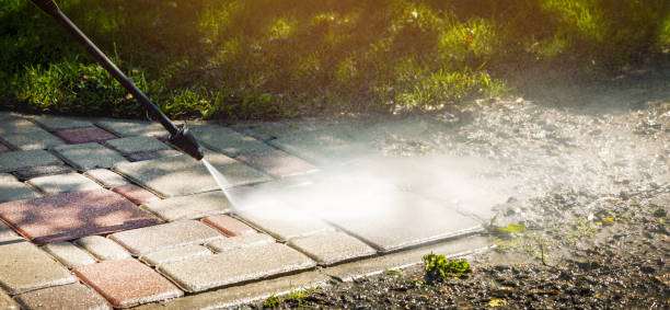 Best Soft Washing  in Weston, FL